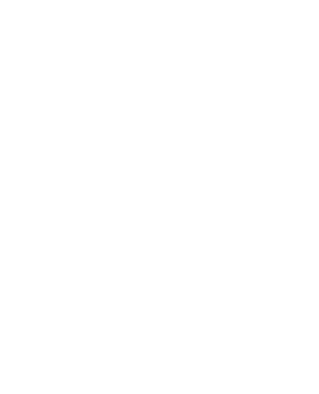 Baunovo USA